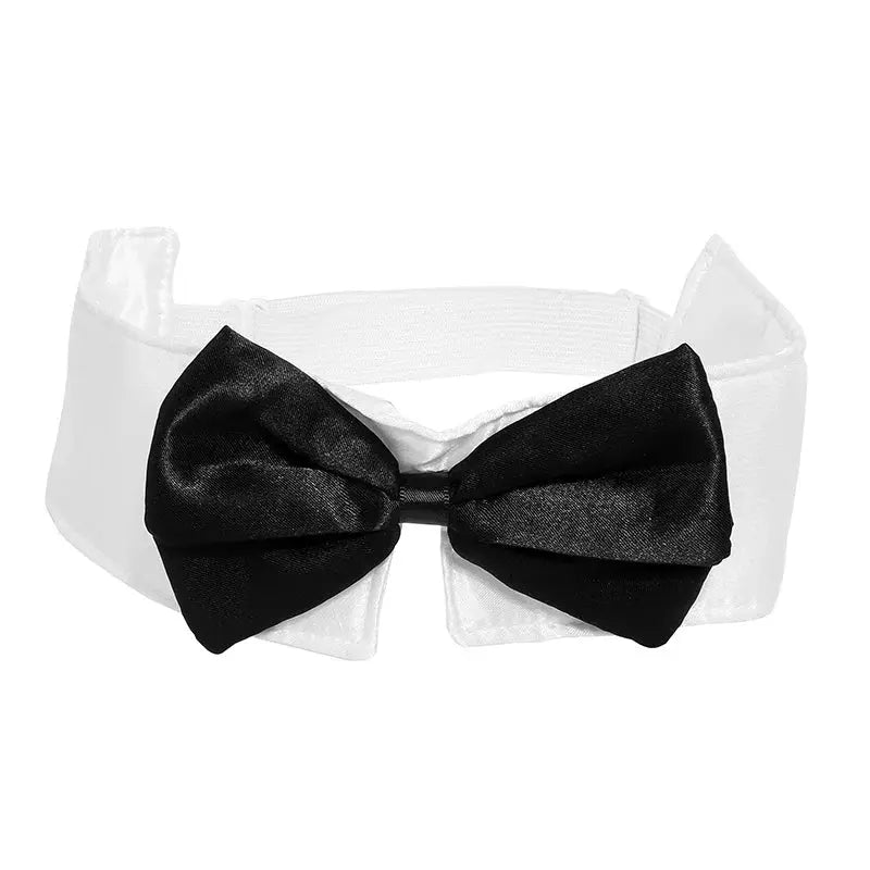 Bunny Girl Kostüm Set – Plüsch Accessoires Luxury Edition - Erofantasy